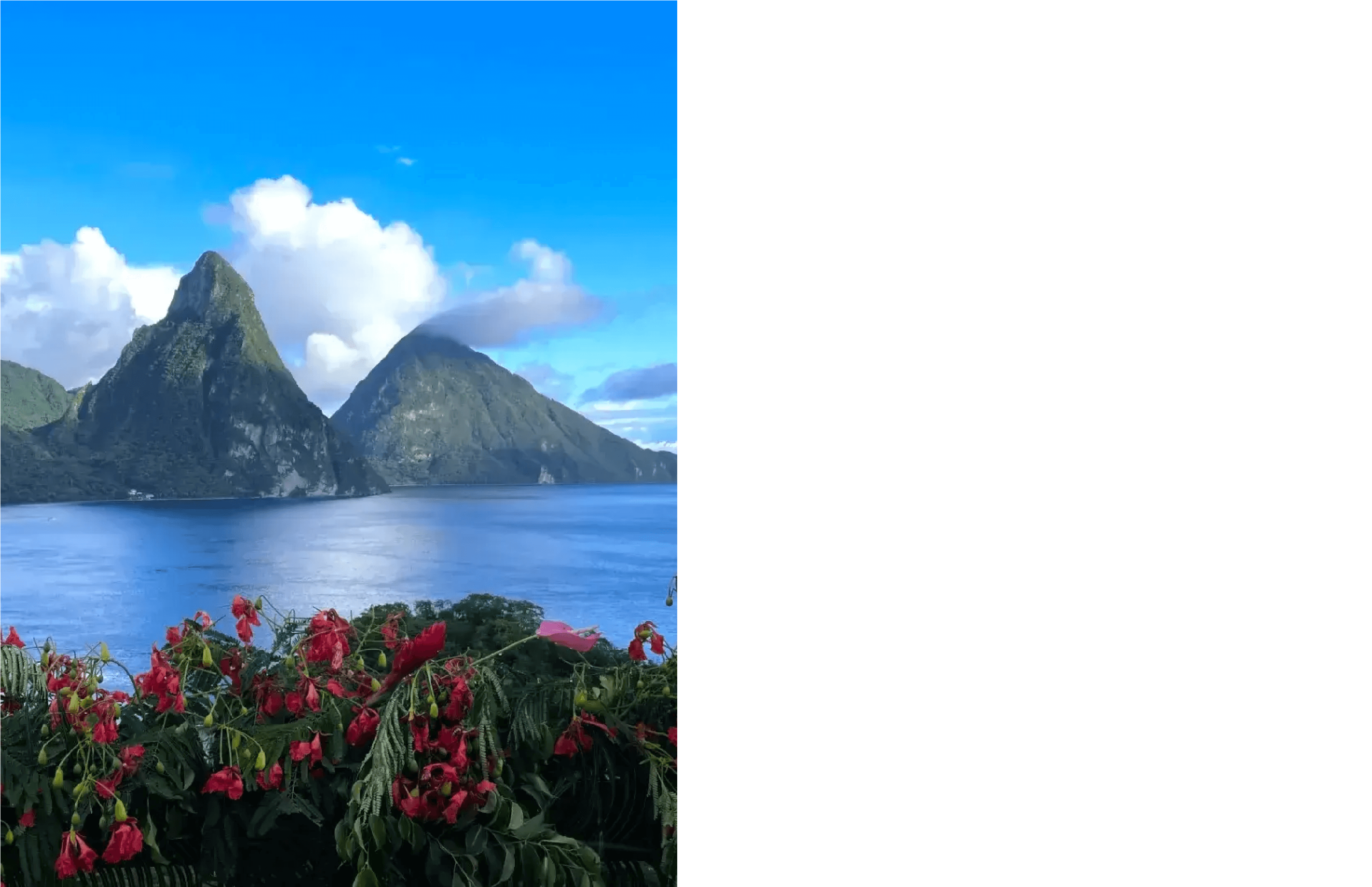Image of Saint Lucia pitons